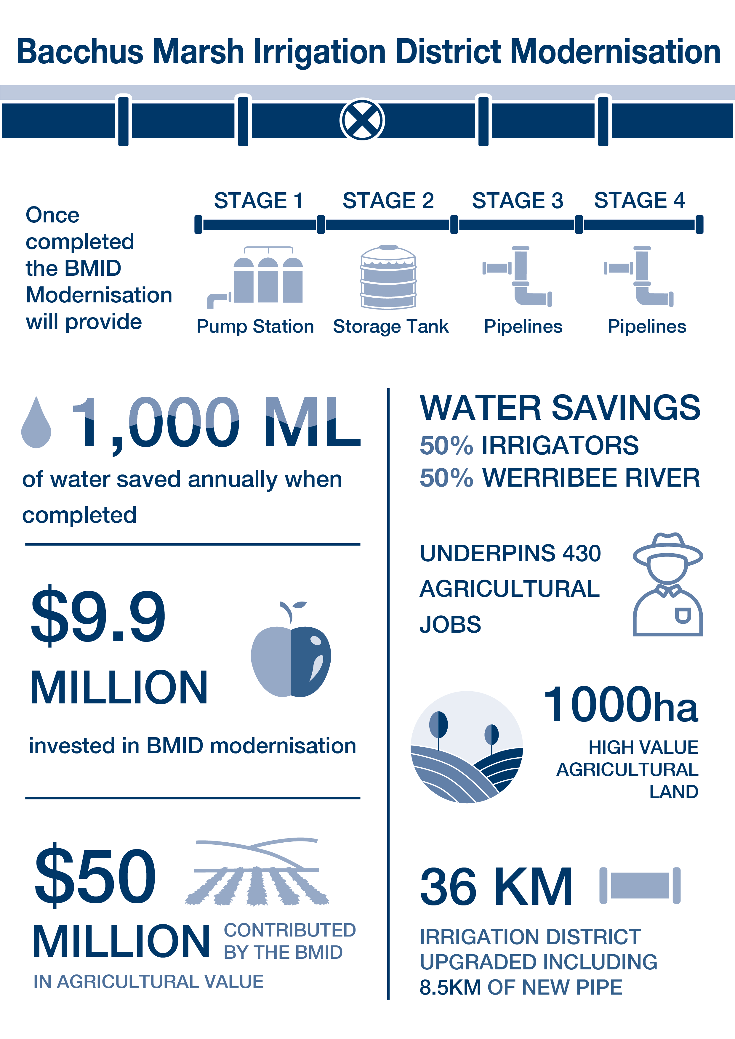 BMID-infographic-2020-monohrome