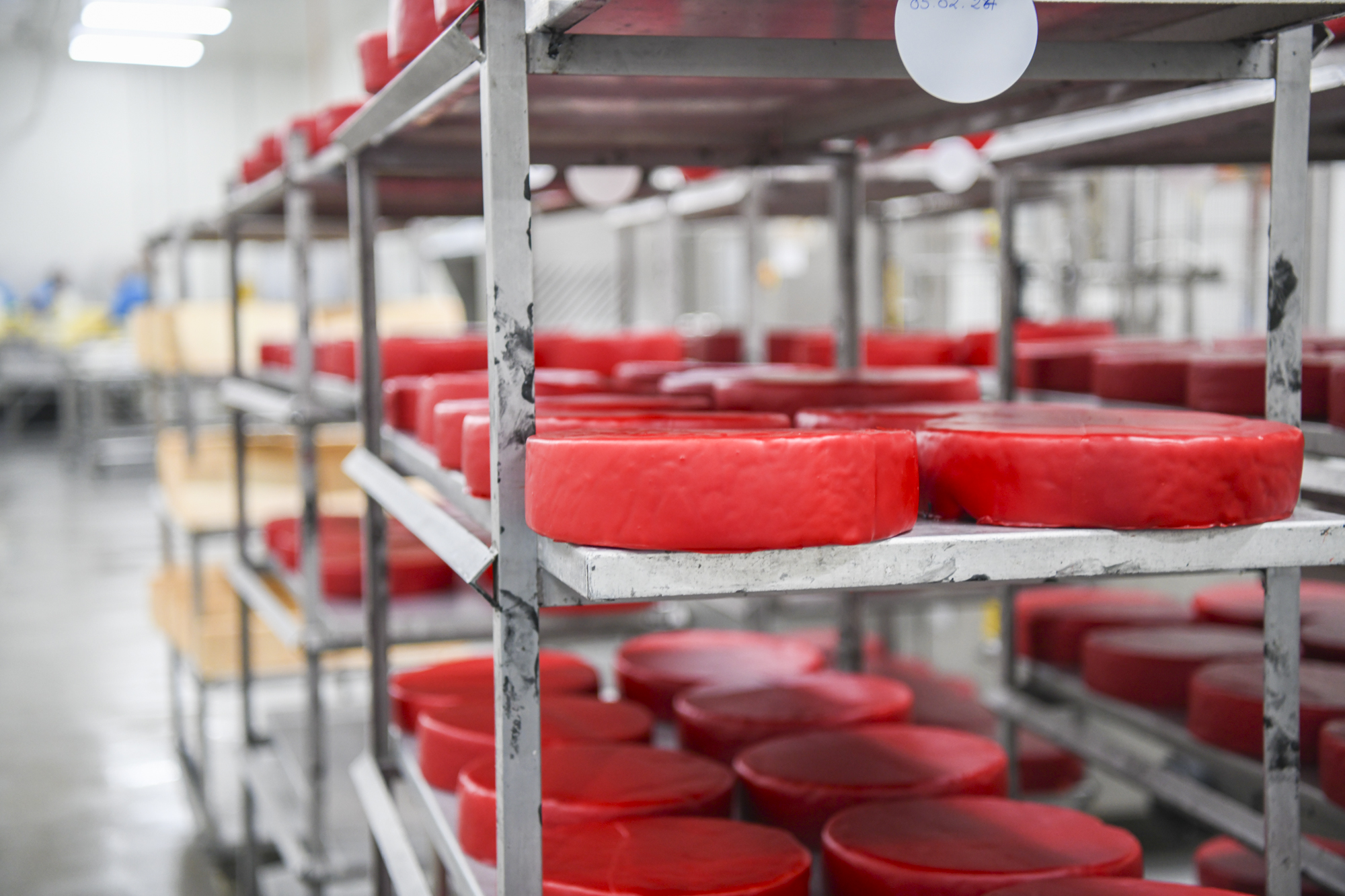 Cheese wheels on shelving