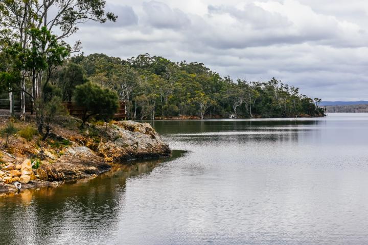 Photo of trees at the edge of a glossy lake.