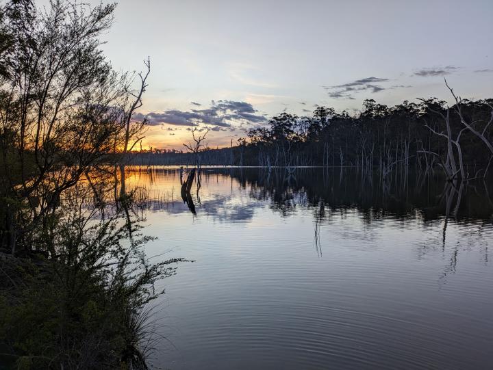 Sunset over a lake surrounded by trees