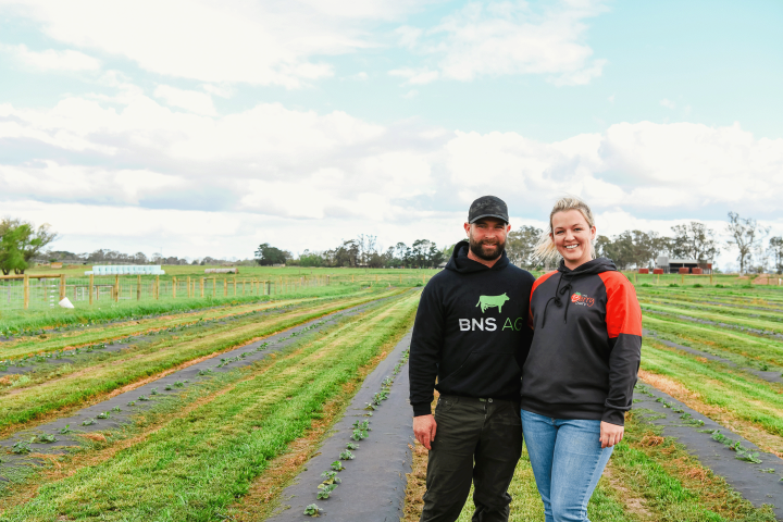 Smiling couple standing in front of rows of growing strawberry crops