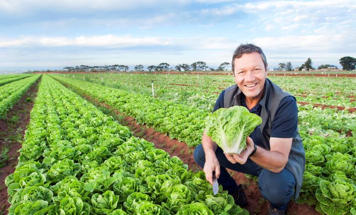 Smiling man crouching in field of lettuce holding a lettuce