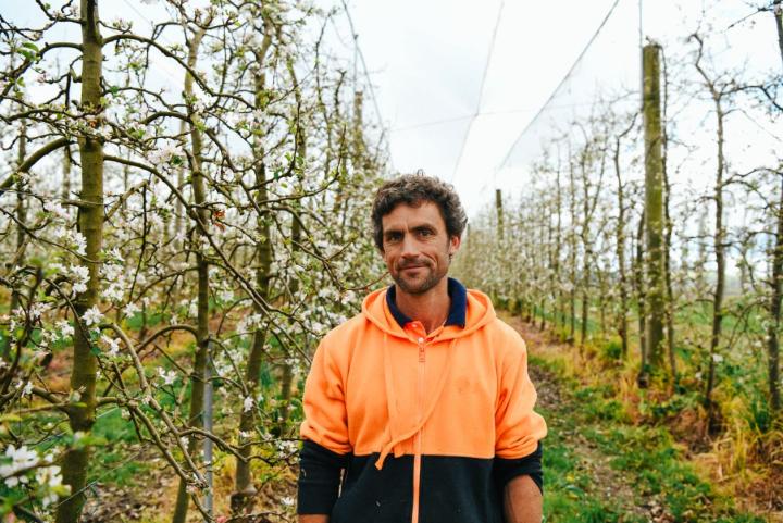 Man standing in an apple orchard smiling at the camera wearing hi-vis clothing..