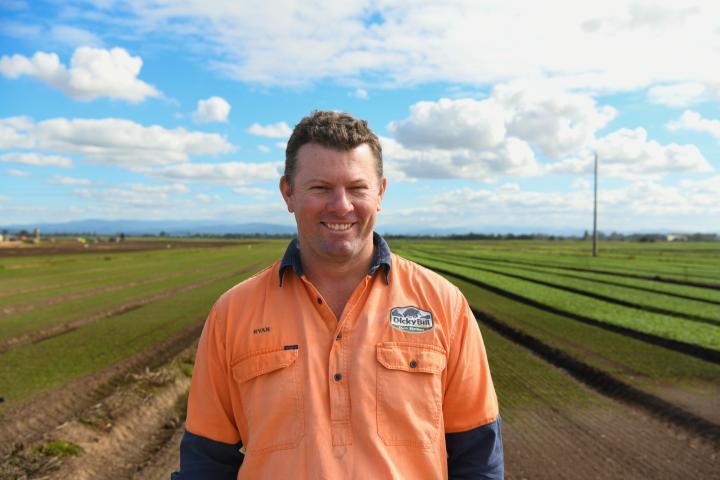 Smiling man stands in front of a sunny crop rows in a field, with a blue sky