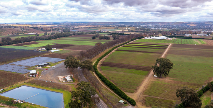 Drone shot of green fields