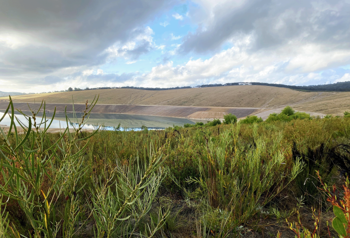 View of the mine pit across the completed topsoil revegetation works 