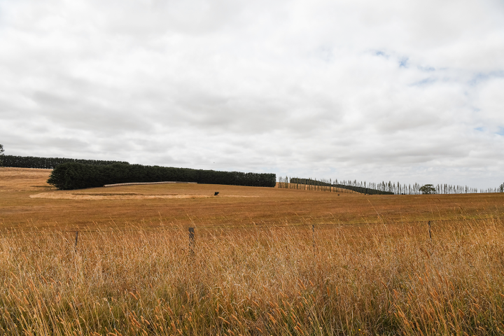Dry grassy hills under a cloudy sky
