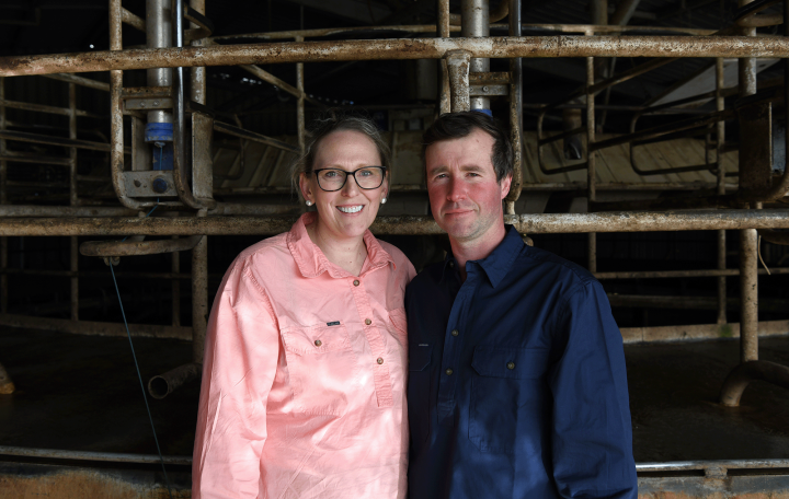 Couple standing in dairy