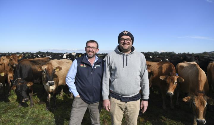Two smiling men standing in front of a herd of cows