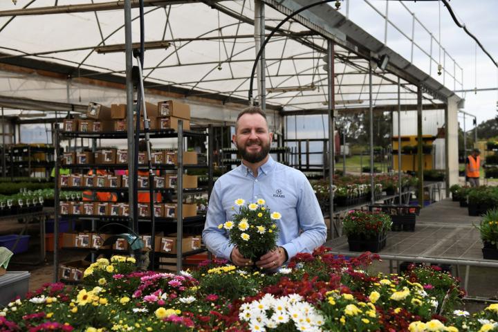 Smiling man holding yellow flowers in a flower nursery