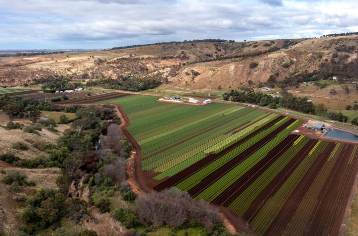 Drone shot of a green crop farm surrounded by rolling hills