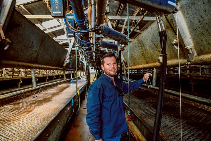Man standing inside a dairy