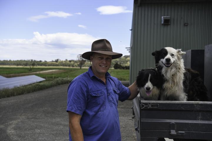 Man smiling at the camera while two black-and-white working dogs sit on the back of a ute, both dogs looking toward the camera.