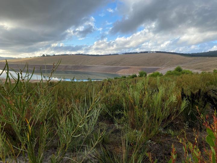 View of the mine pit across the completed topsoil revegetation works \